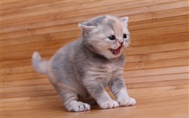 Преимущество 6